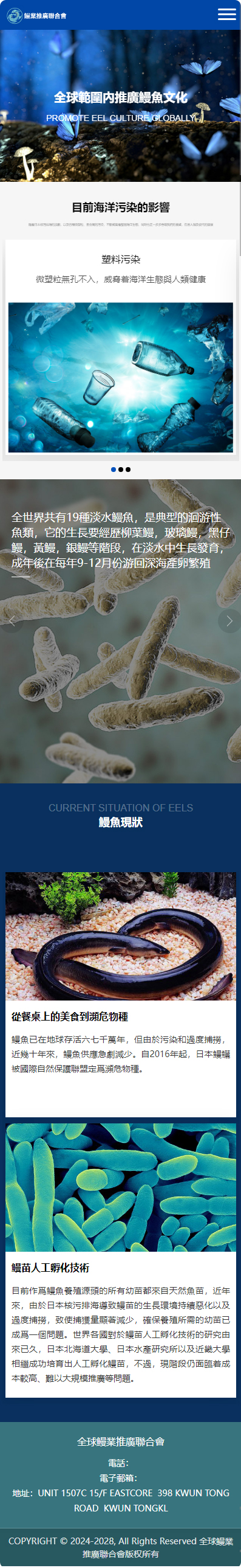 全球鰻業(yè)推廣聯(lián)合會(huì)香港企業(yè)官網(wǎng)開發(fā)建設(shè)制作案例 手機(jī)端預(yù)覽圖