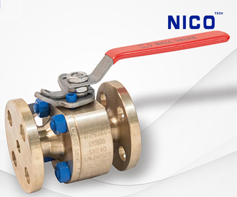 無錫市尼柯工業(yè)技術(shù)有限公司閥門外貿(mào)型網(wǎng)站建設(shè)制作開發(fā)案例